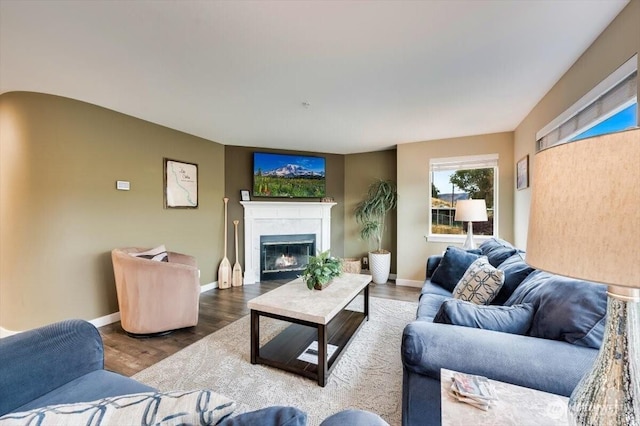 living room with wood finished floors, a glass covered fireplace, and baseboards