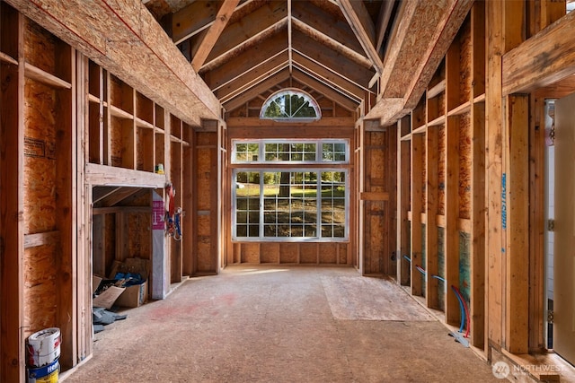 miscellaneous room with vaulted ceiling