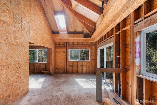 interior space featuring vaulted ceiling with skylight and a wealth of natural light