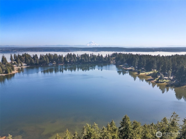 property view of water featuring a wooded view