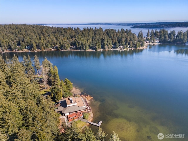 bird's eye view featuring a water view and a forest view