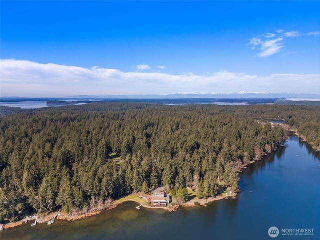 birds eye view of property featuring a water view and a forest view