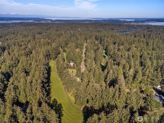 aerial view with a forest view