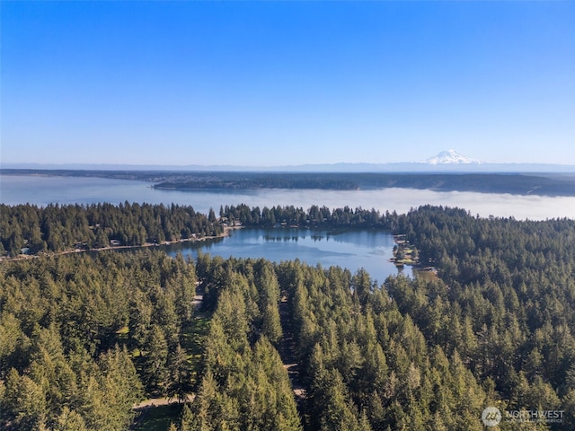 drone / aerial view with a water view and a view of trees