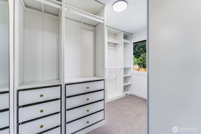 walk in closet featuring carpet flooring