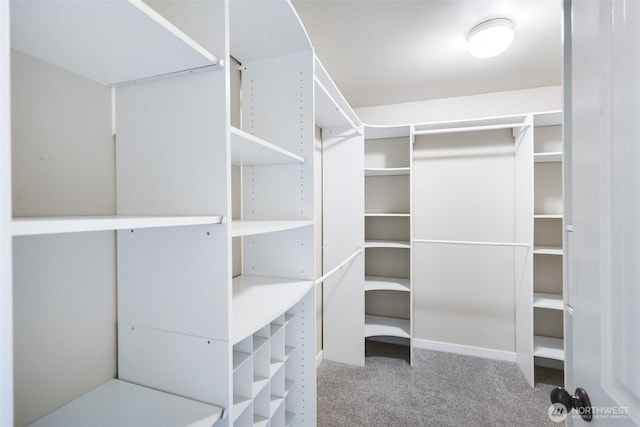 walk in closet featuring carpet