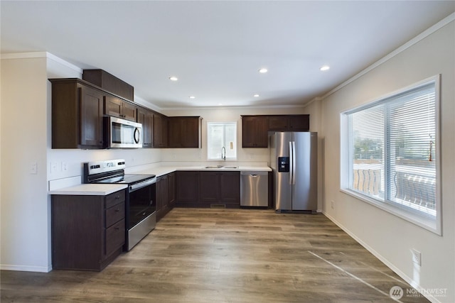 kitchen featuring dark brown cabinetry, light wood finished floors, light countertops, stainless steel appliances, and a sink