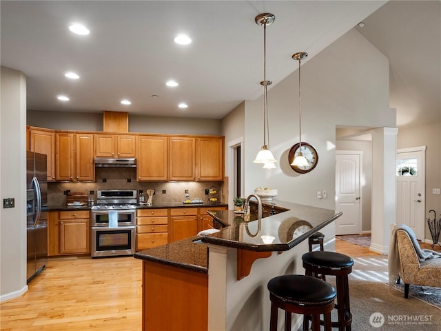 kitchen with under cabinet range hood, a kitchen breakfast bar, light wood finished floors, appliances with stainless steel finishes, and tasteful backsplash