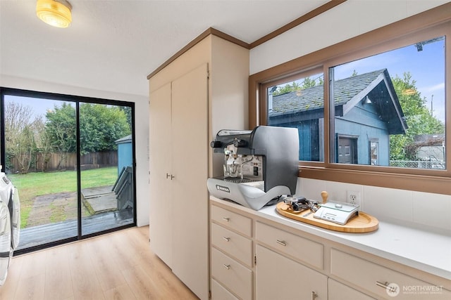 doorway featuring a wealth of natural light and light wood-type flooring