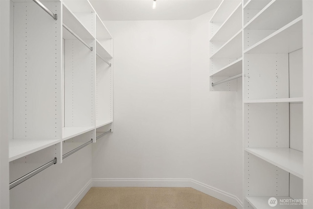 spacious closet featuring light carpet