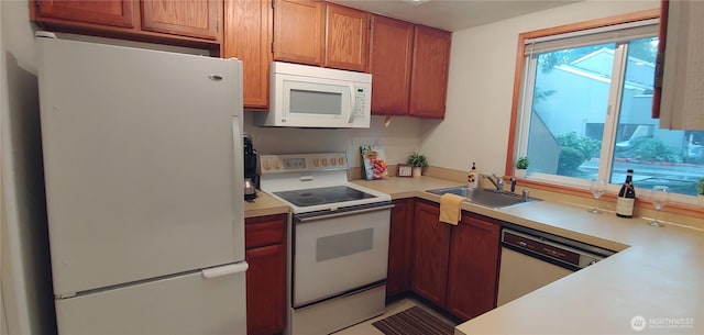 kitchen featuring brown cabinets, white appliances, light countertops, and a sink