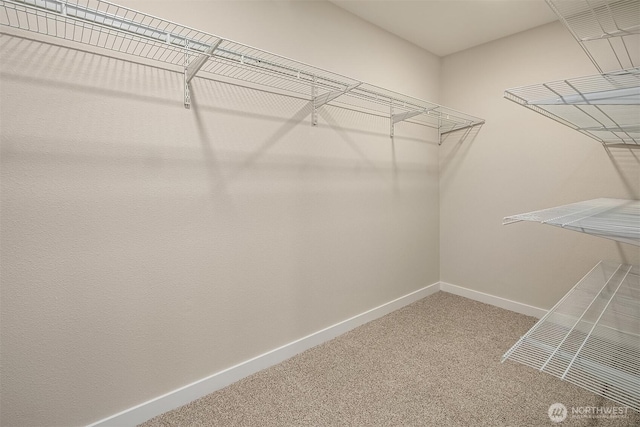 spacious closet with carpet floors