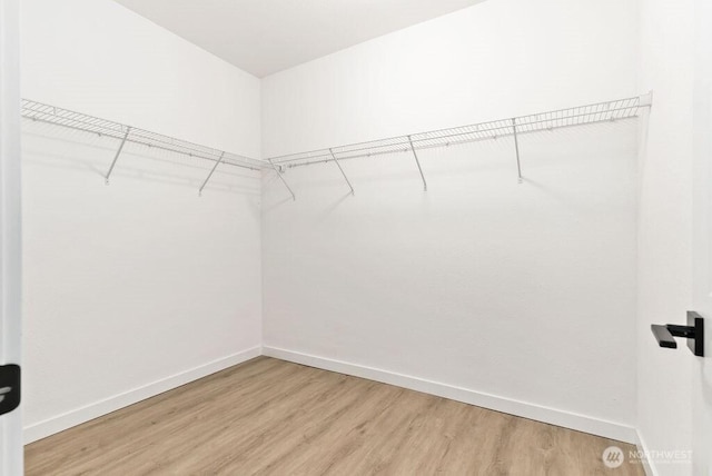 walk in closet featuring light wood-type flooring