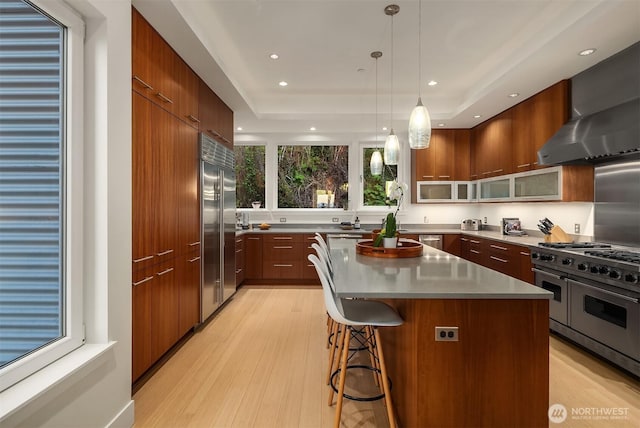 1514 Alki Ave SW, Seattle, WA 98116 - kitchen with high end appliances, modern cabinets, a breakfast bar area, light wood-style floors, and a tray ceiling