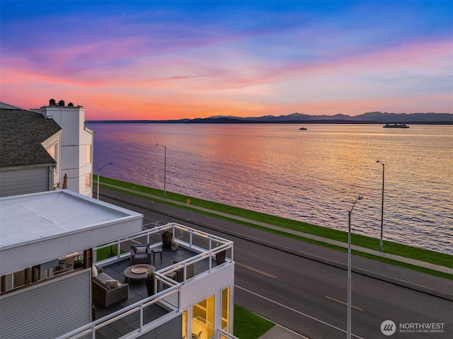 1514 Alki Ave SW, Seattle, WA 98116 - water view with a mountain backdrop