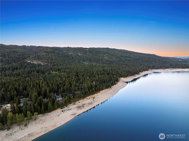 drone / aerial view with a wooded view and a water and mountain view