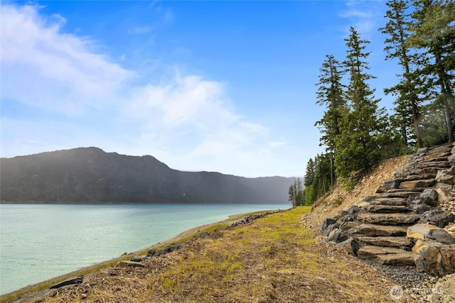 590 Domerie Bay Rd, Ronald, WA 98940 - water view with a mountainous background