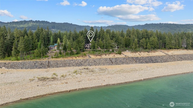 590 Domerie Bay Rd, Ronald, WA 98940 - mountain view with a forest and a nearby body of water