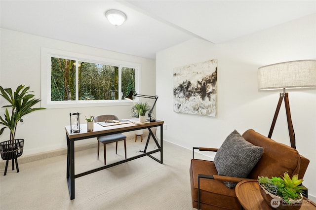 office with carpet floors and baseboards