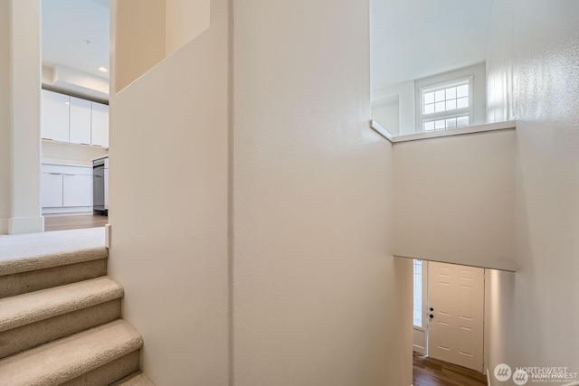 staircase featuring wood finished floors