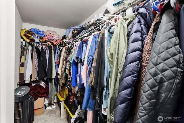 walk in closet with carpet