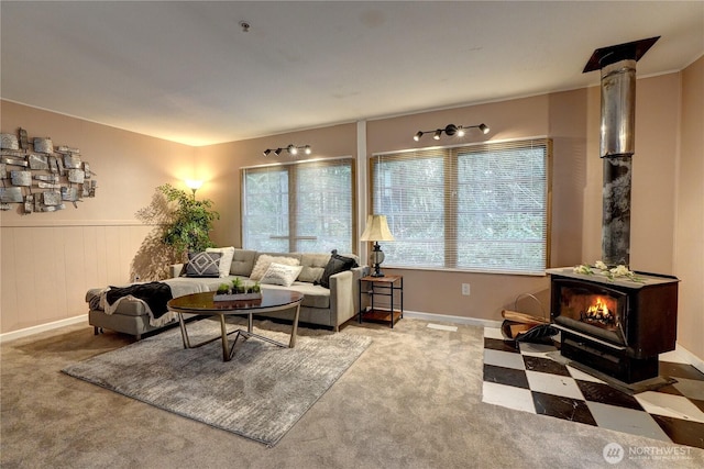 living room with a wood stove and carpet flooring