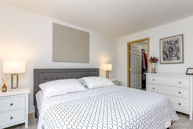 carpeted bedroom featuring a spacious closet