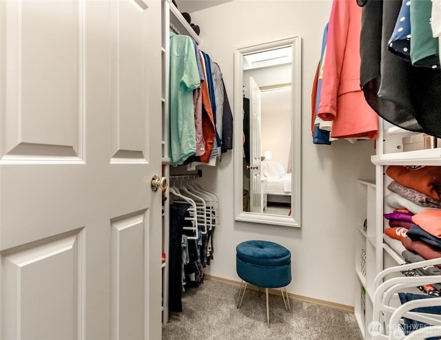 spacious closet featuring carpet flooring