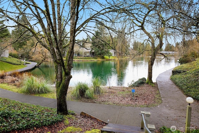 view of water feature