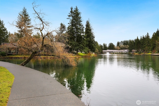 view of water feature