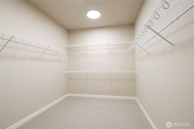 spacious closet with carpet