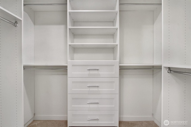 view of spacious closet