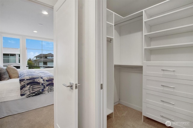 walk in closet with carpet flooring