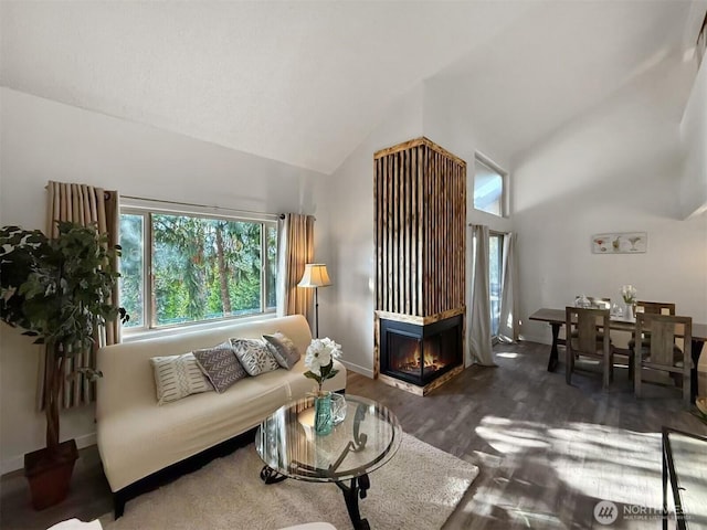 living room featuring high vaulted ceiling, a multi sided fireplace, baseboards, and wood finished floors