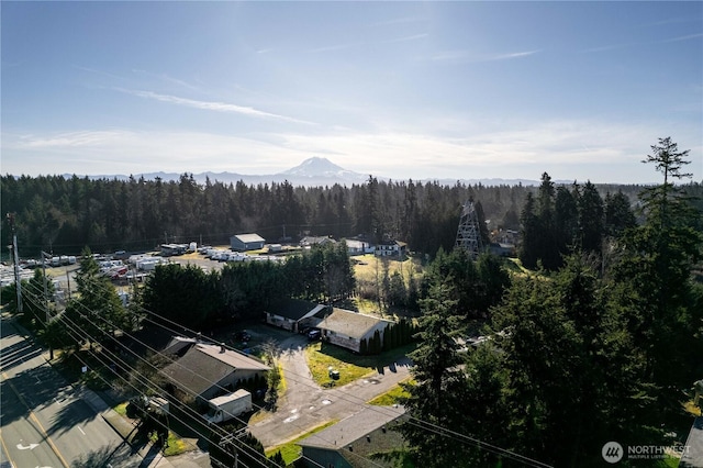 bird's eye view featuring a forest view and a mountain view