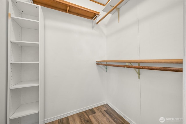 spacious closet featuring dark wood-style floors