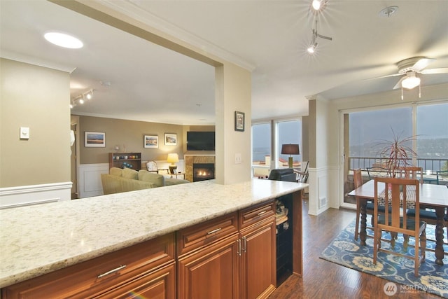 kitchen featuring a wainscoted wall, a lit fireplace, dark wood finished floors, and crown molding