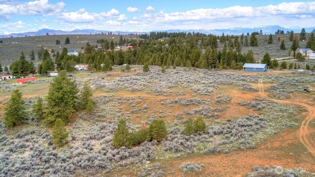 birds eye view of property with a mountain view