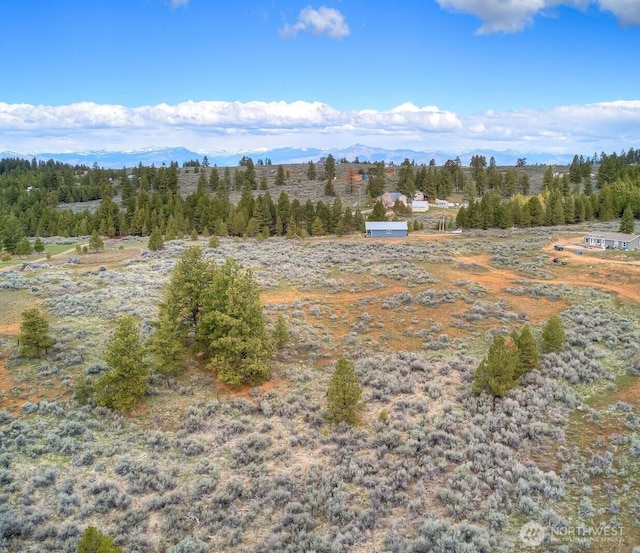 drone / aerial view with a mountain view and a wooded view