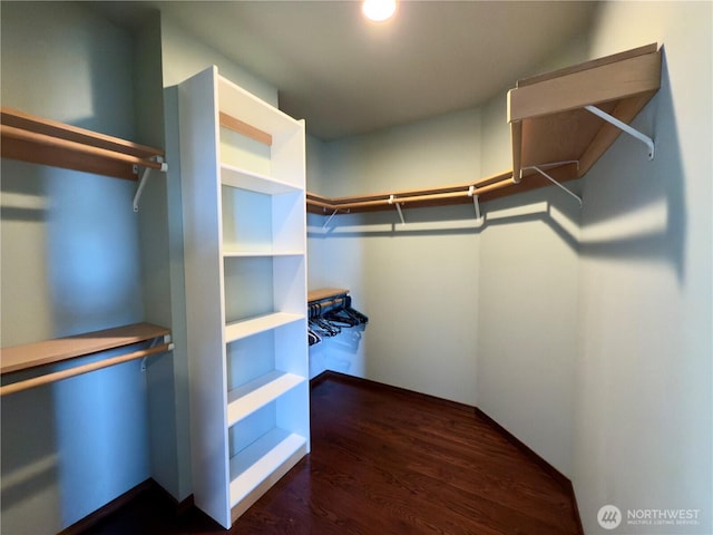 walk in closet featuring wood finished floors