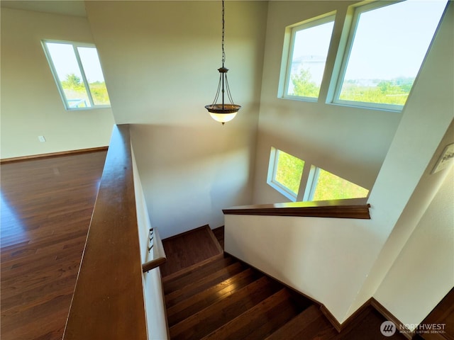 stairs featuring plenty of natural light, baseboards, and hardwood / wood-style floors