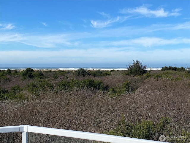 view of local wilderness with a water view