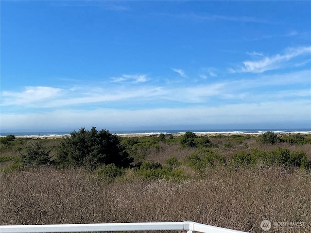 view of local wilderness featuring a water view