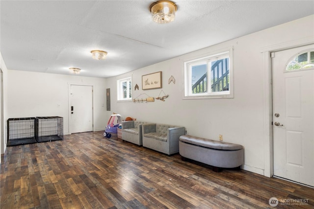 entryway with a textured ceiling, hardwood / wood-style floors, electric panel, and a healthy amount of sunlight