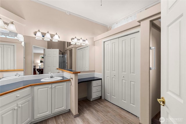 bathroom with a closet, vanity, and wood finished floors