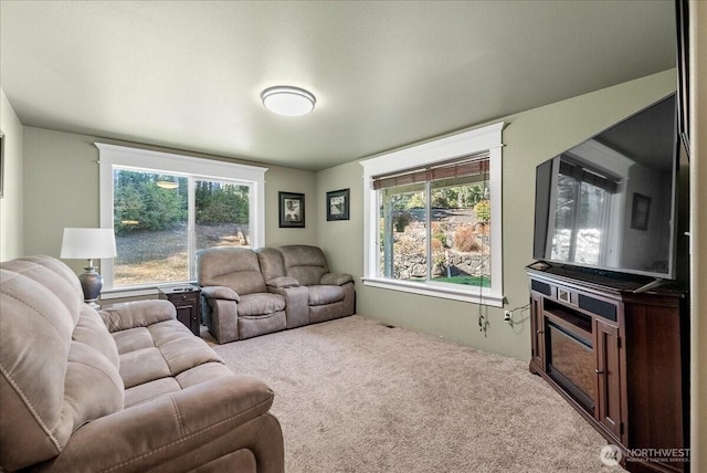 carpeted living area with a wealth of natural light