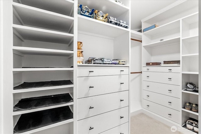 walk in closet featuring light colored carpet