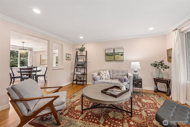 living area featuring ornamental molding, baseboards, and wood finished floors