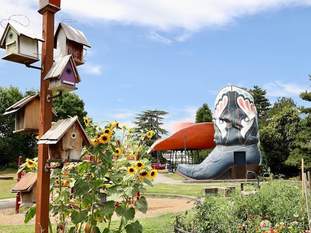 view of jungle gym