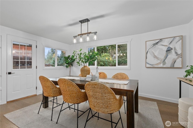 dining space featuring baseboards and wood finished floors